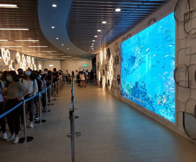 青埔國泰置地廣場-八景島水族館購票廳LED電視牆